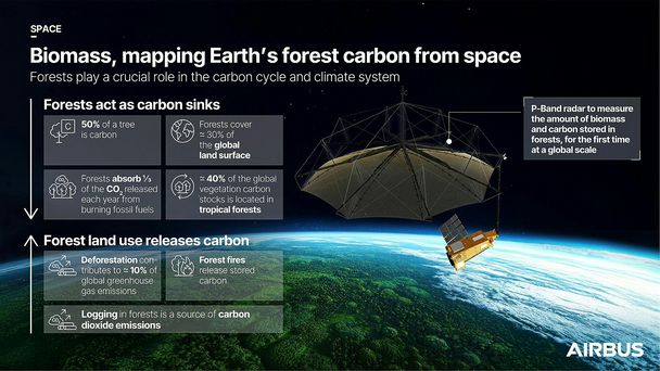 Infographic Biomass carbon cycle Infographic Biomass carbon cycle